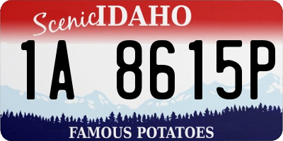ID license plate 1A8615P