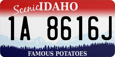 ID license plate 1A8616J
