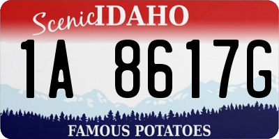 ID license plate 1A8617G