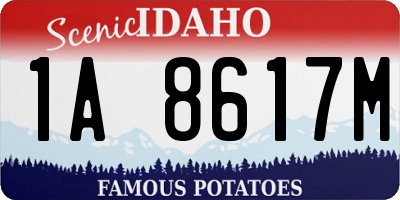 ID license plate 1A8617M