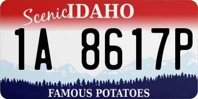 ID license plate 1A8617P