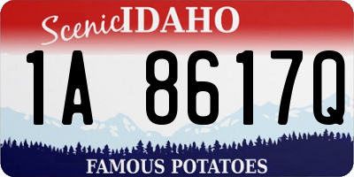 ID license plate 1A8617Q