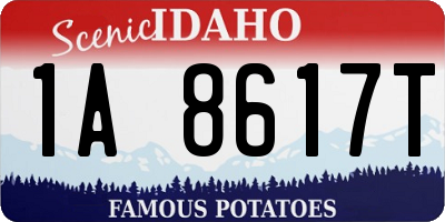 ID license plate 1A8617T