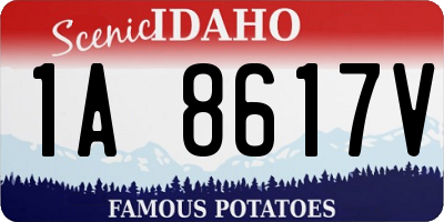 ID license plate 1A8617V