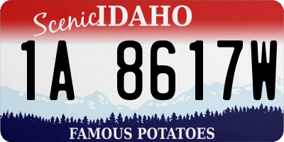 ID license plate 1A8617W