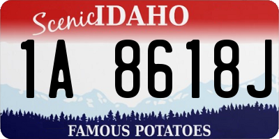 ID license plate 1A8618J