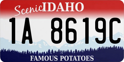 ID license plate 1A8619C