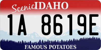 ID license plate 1A8619E