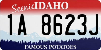 ID license plate 1A8623J