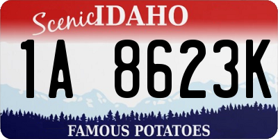 ID license plate 1A8623K