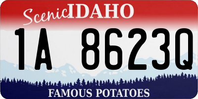 ID license plate 1A8623Q