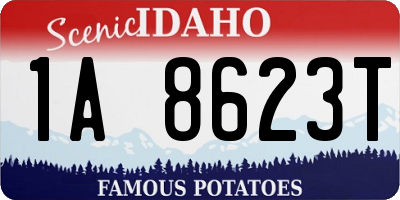 ID license plate 1A8623T