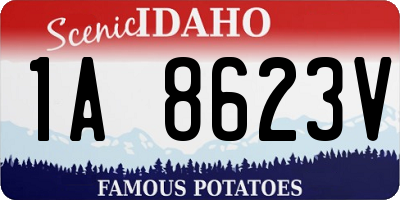 ID license plate 1A8623V