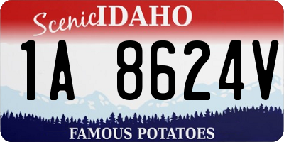ID license plate 1A8624V