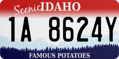 ID license plate 1A8624Y