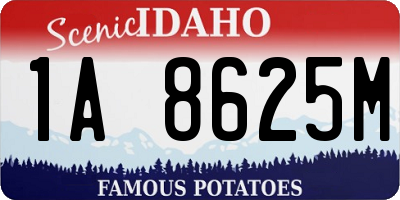 ID license plate 1A8625M