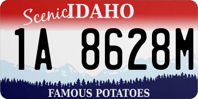 ID license plate 1A8628M