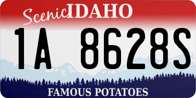 ID license plate 1A8628S