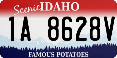 ID license plate 1A8628V