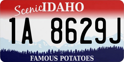 ID license plate 1A8629J