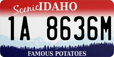 ID license plate 1A8636M