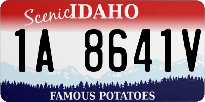 ID license plate 1A8641V