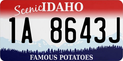 ID license plate 1A8643J