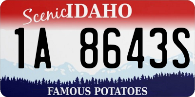 ID license plate 1A8643S