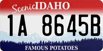 ID license plate 1A8645B