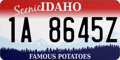 ID license plate 1A8645Z