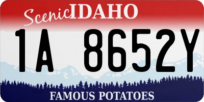 ID license plate 1A8652Y
