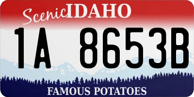 ID license plate 1A8653B