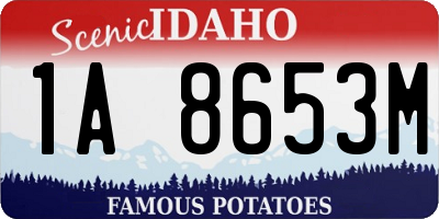 ID license plate 1A8653M