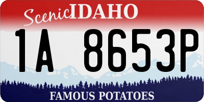 ID license plate 1A8653P