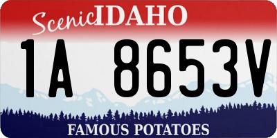ID license plate 1A8653V