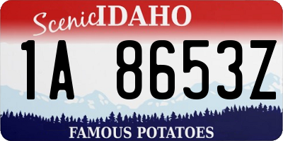 ID license plate 1A8653Z
