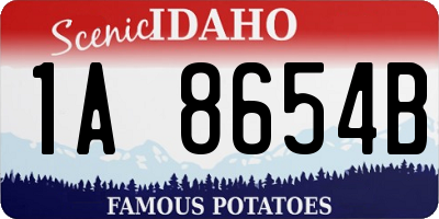 ID license plate 1A8654B
