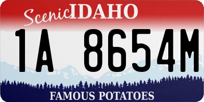 ID license plate 1A8654M