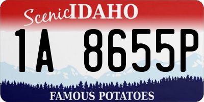 ID license plate 1A8655P