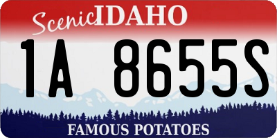 ID license plate 1A8655S