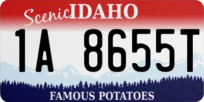 ID license plate 1A8655T
