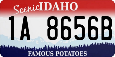 ID license plate 1A8656B