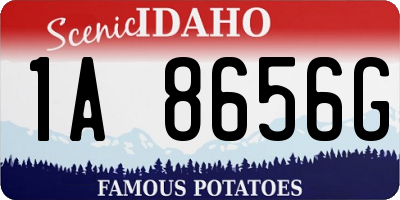 ID license plate 1A8656G