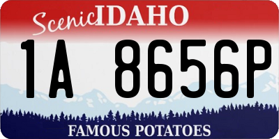 ID license plate 1A8656P