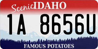 ID license plate 1A8656U