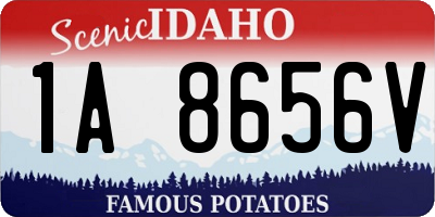 ID license plate 1A8656V