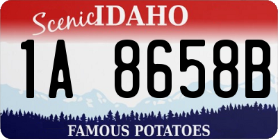 ID license plate 1A8658B
