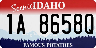 ID license plate 1A8658Q