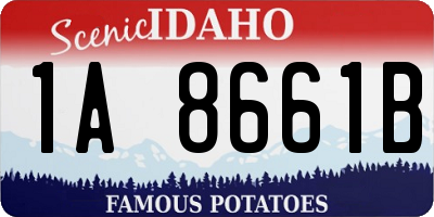 ID license plate 1A8661B