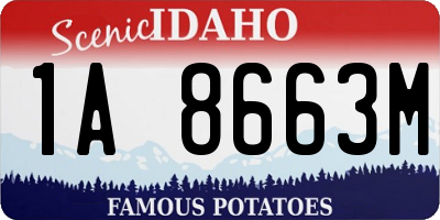 ID license plate 1A8663M